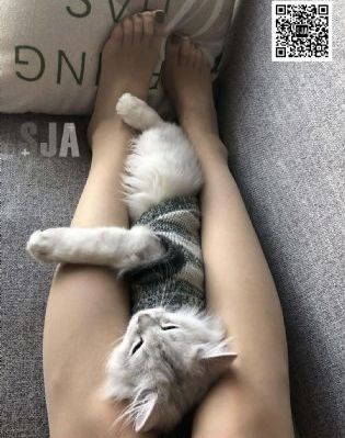 激战后厨1至5集完整版在线观看_高清高清迅雷在线观看