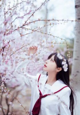 午夜免费_视频全集